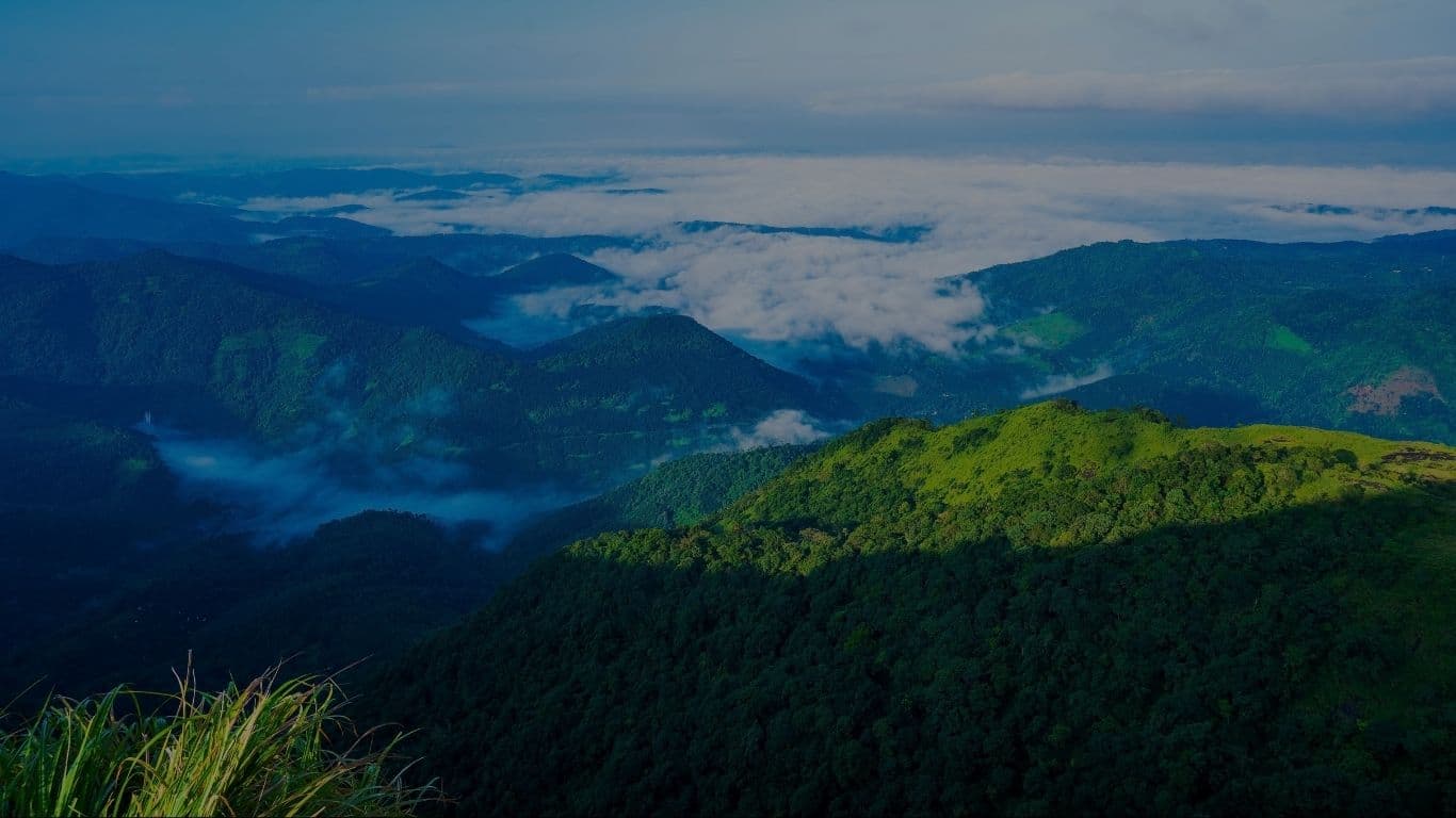 Mini Manicure & Pedicure
